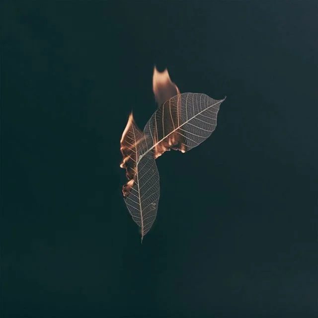 Liar / Fire / Smoke. Visit @spartanrecords for 2/3 remaining vinyl variants.
_
P: @sleepingplanes